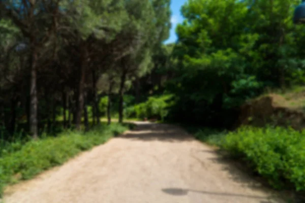 stock image Walking path in a forest. Carbon neutral concept. Carbon net zero concept. Green cities in world. Green parks. Green environment Blurred background