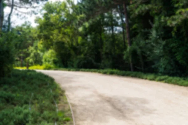 stock image Walking path in a forest. Carbon neutral concept. Carbon net zero concept. Green cities in world. Green parks. Green environment Blurred background