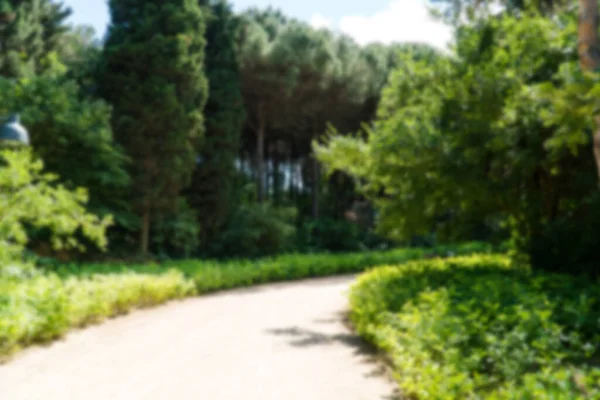 stock image Walking path in a forest. Carbon neutral concept. Carbon net zero concept. Green cities in world. Green parks. Green environment Blurred background