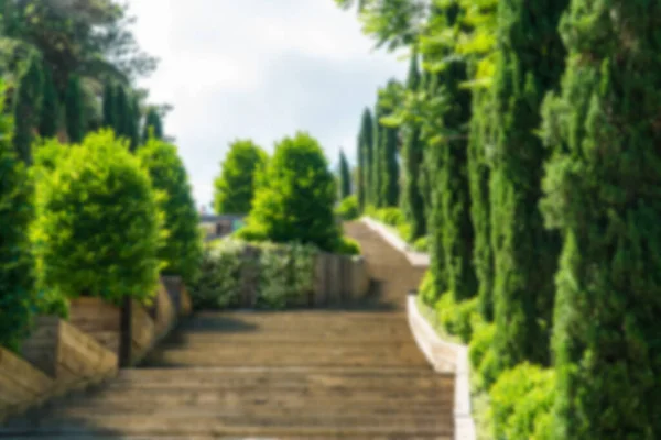 stock image Walking path in a forest. Carbon neutral concept. Carbon net zero concept. Green cities in world. Green parks. Green environment Blurred background