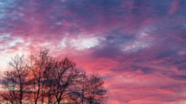 Sunset sky. Cirrocumulus and cirrostratus clouds during sunset. Beautiful dramatic sunset sky background. Blurry background