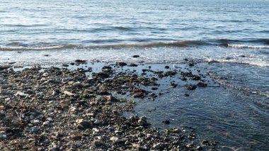 Ebb ve akış. Gel-git. Deniz seviyesi düşüyor ya da düşüyor. Deniz Burnu