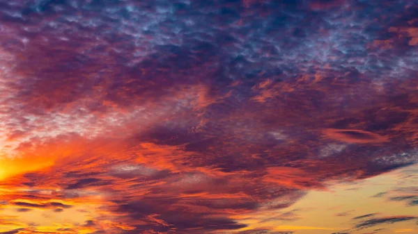 Sonnenuntergang Cirrocumulus Und Schleierwolken Während Des Sonnenuntergangs Schöne Dramatische Sonnenuntergang — Stockfoto