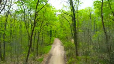 Baharda orman. Baharda yeşil orman. Ormanda yürüyüş yolu. Sıfır karbon ya da karbon nötr kavramı. Uluslararası Orman Günü. İHA görüntüsü. Düşük irtifa uçuşu