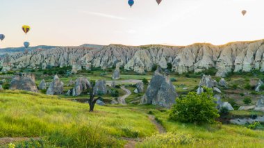 Kapadokya hindisi. Kapadokya 'da güneş doğarken bacaların üzerinde uçan sıcak hava balonları. Türkiye 'ye git. Türkiye 'nin turistik simgeleri. Seçici odak dahil