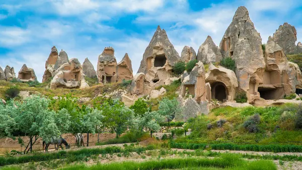 stock image Fairy chimneys in Cappadocia Turkey. Cappadocia landscape. Travel to Turkey. Selective focus included.