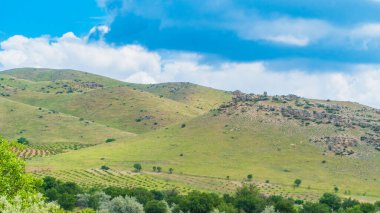Kapadokya hindisi. Kapadokya 'da güneş doğarken bacaların üzerinde uçan sıcak hava balonları. Türkiye 'ye git. Türkiye 'nin turistik simgeleri. Seçici odak dahil