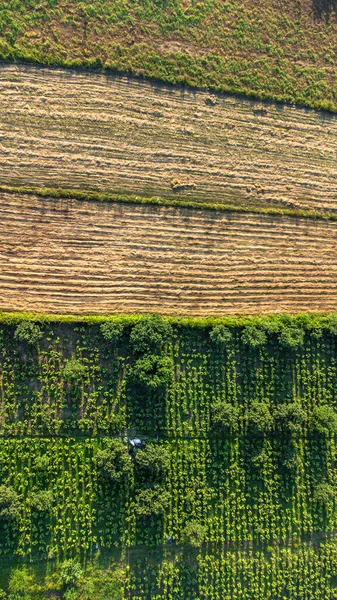 从空中俯瞰农田 种植前成排的土壤 农业概念鸟瞰 包括有选择的重点 无人机视图 — 图库照片