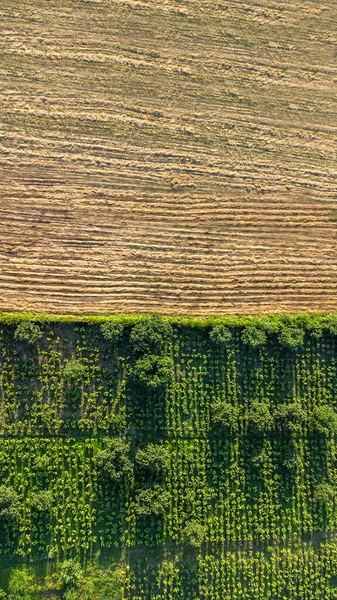 공중에서는 농경지를 수있습니다 흙뿌리기 농업은 산업이다 선택적 포함됩니다 — 스톡 사진