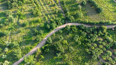Tarımsal alan hava görüntüsü. Sürdürülebilir tarım. Organik tarım kavramı. Drone görünümü