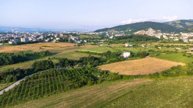 Tarımsal alan hava görüntüsü. Sürdürülebilir tarım. Organik tarım kavramı. Drone görünümü