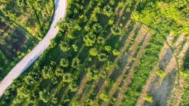 Tarımsal alan hava görüntüsü. Sürdürülebilir tarım. Organik tarım kavramı. Drone görünümü