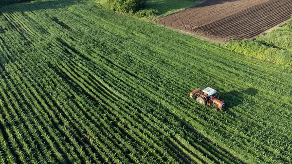 从事野外鸟瞰工作的农民 耕作的农田 食品通胀概念 无人机的观点 包括有选择的重点 — 图库照片