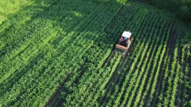 Tarımsal alan hava görüntüsü. Tarım alanında traktör. Hasat mevsimi. Olgunlaşan ürün süreci.