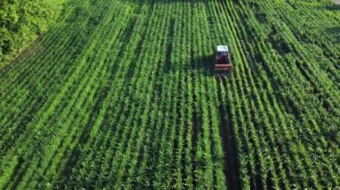 Tarımsal alan hava görüntüsü. Sürdürülebilir tarım kavramı. Traktör ekin verimini arttırmak için toprağa gübre yayıyor. Drone görünümü.