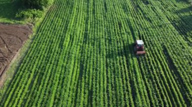 Tarımsal alan hava görüntüsü. Ekin tarlasında traktör. Sürdürülebilir tarımla organik ürünler yetiştirmek. Drone görünümü.