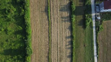 Tarımsal alan hava görüntüsü. Pürüzlü hava manzarası. Toprak hasat için hazırlandı. Ekin ekmeden önce toprak sıraları.