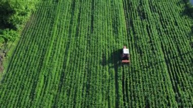 Tarımsal alan hava görüntüsü. Tarım alanında traktör. Organik tarım. Satır kırpma hava görüntüsü.