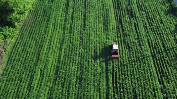 Agricultural Field Aerial View Tractor Agricultural Field Organic Agriculture Row — Stock Video