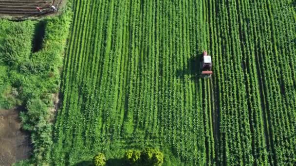 Utsikt Över Jordbruksmarken Jordbrukslandskap Jordbrukare Som Arbetar Ute Fältet Hållbart — Stockvideo