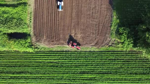 农业野外鸟瞰 农业用地耕作有机产品的农民 — 图库视频影像