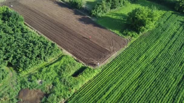 Pohled Zemědělské Pole Zemědělské Pole Rozdělené Části Pro Pěstování Ekologických — Stock video