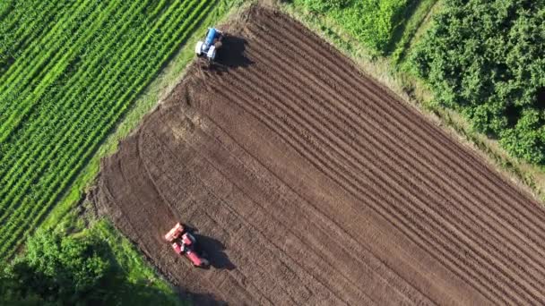 Champ Agricole Vue Aérienne Tracteurs Labourant Sol Avant Plantation Travail — Video