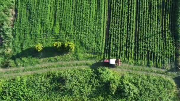 农业野外鸟瞰 农田里农民在拖拉机上施肥 可持续粮食生产 — 图库视频影像