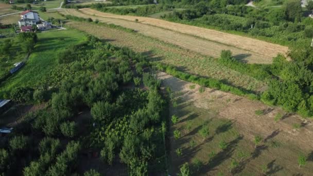 Mezőgazdasági Terület Légi Rálátás Fenntartható Mezőgazdaság Ültetésre Szánt Talaj Sorai — Stock videók