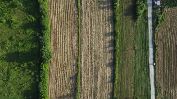 Pohled Zemědělské Pole Řádky Půdy Pro Výsadbu Pohled Orané Půdy — Stock video