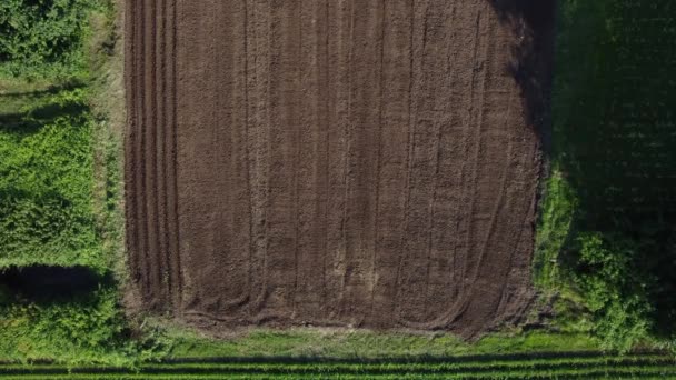 农业野外鸟瞰 粮食危机概念 播种种子用耕地的空中景观 — 图库视频影像