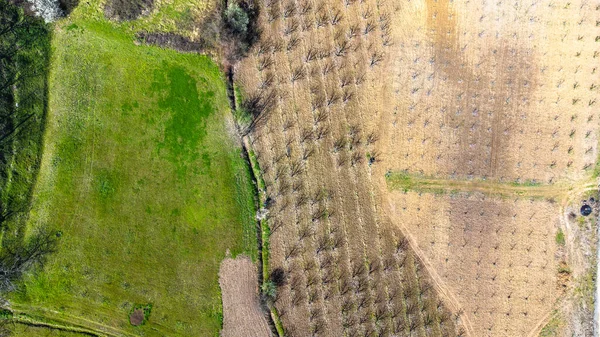 Sequía Campo Agrícola Vista Aérea Tierras Cultivo Secas Crisis Hambre — Foto de Stock