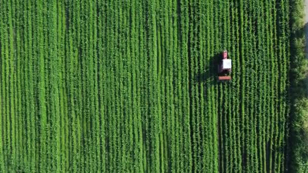 农业野外鸟瞰 将有机肥撒入农田的拖拉机 — 图库视频影像