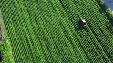 Tarımsal alan hava görüntüsü. Sürdürülebilir tarım kavramı. İHA atışı