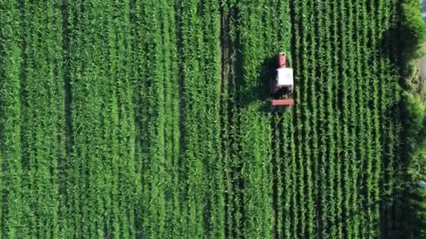 Utsikt Över Jordbruksmarken Hållbart Jordbruk Drönarskott — Stockvideo