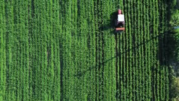 Campo Agricolo Vista Aerea Concetto Agricoltura Sostenibile Colpo Droni — Video Stock