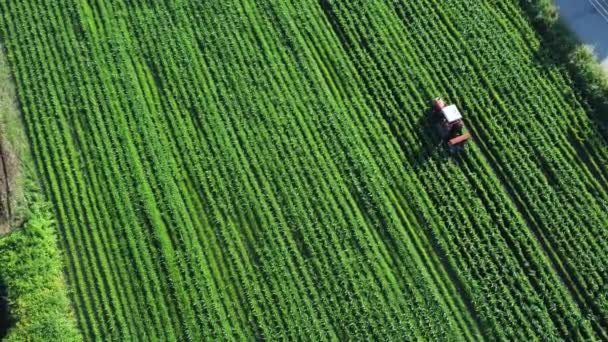 Utsikt Över Jordbruksmarken Hållbart Jordbruk Drönarskott — Stockvideo