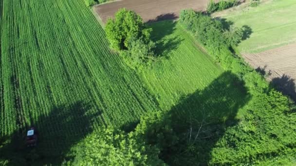 可持续农业概念 农业野外鸟瞰 收获季节 — 图库视频影像