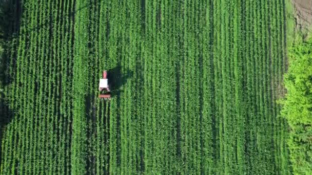 Pohled Zemědělské Pole Koncept Udržitelného Zemědělství Výstřel Dronů — Stock video