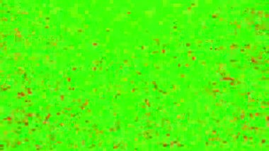 Kalp şeklinde konfeti. Sevgililer Günü konsepti. Yeşil ekranlı konfeti