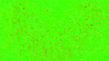 Kalp şeklinde konfeti. Sevgililer Günü konsepti. Yeşil ekranlı konfeti