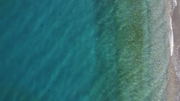 Sea Aerial View Sea Texture Tranquil Turquoise Sea Summer Concept — Stock Video