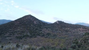 Akdeniz florası. Ege bölgesinde zeytin ağaçları ve badem ağaçları. Akdeniz bölgesindeki dağlarda Maquis.