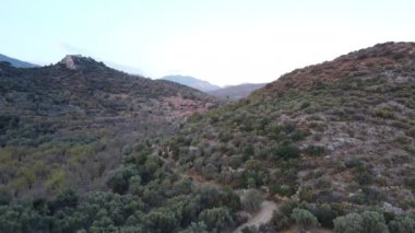 Akdeniz florası. Ege bölgesinde zeytin ağaçları ve badem ağaçları. Akdeniz bölgesindeki dağlarda Maquis.