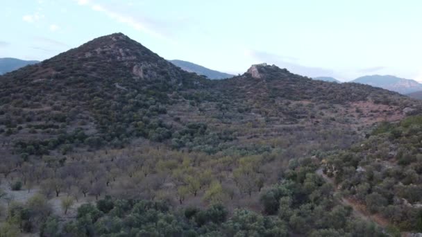 Středomořská Flóra Olivovníky Mandle Egejské Oblasti Makisté Horách Středomořské Oblasti — Stock video