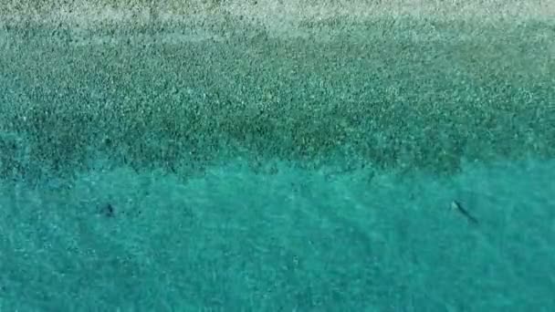 Vista Aérea Mar Textura Marina Tranquilo Mar Turquesa Concepto Verano — Vídeos de Stock