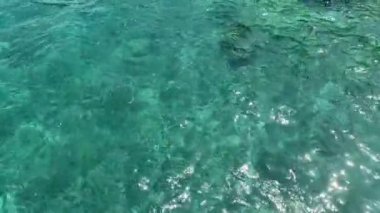 Turkuaz deniz tropik ada manzarası. Ada kıyısı ve temiz turkuaz deniz..