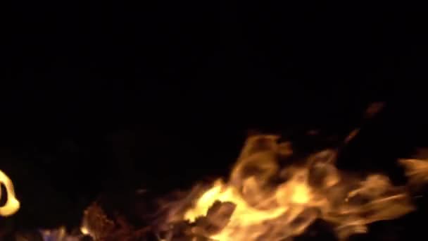 Llama Fuego Aislado Sobre Fondo Negro Llamas Fuego Encendiendo Quemando — Vídeos de Stock