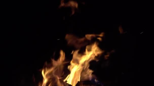 Пламя Огня Изолировано Черном Фоне Огненное Пламя Воспламеняется Горит Медленное — стоковое видео