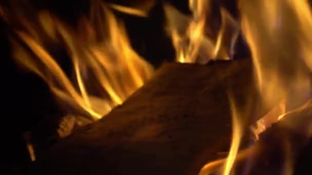 Затемнення Гарячого Вогню Паперові Листи Документи Книги Спалюються Сутінках Вугільного — стокове відео